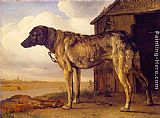 The Wolf-Hound by Paulus Potter